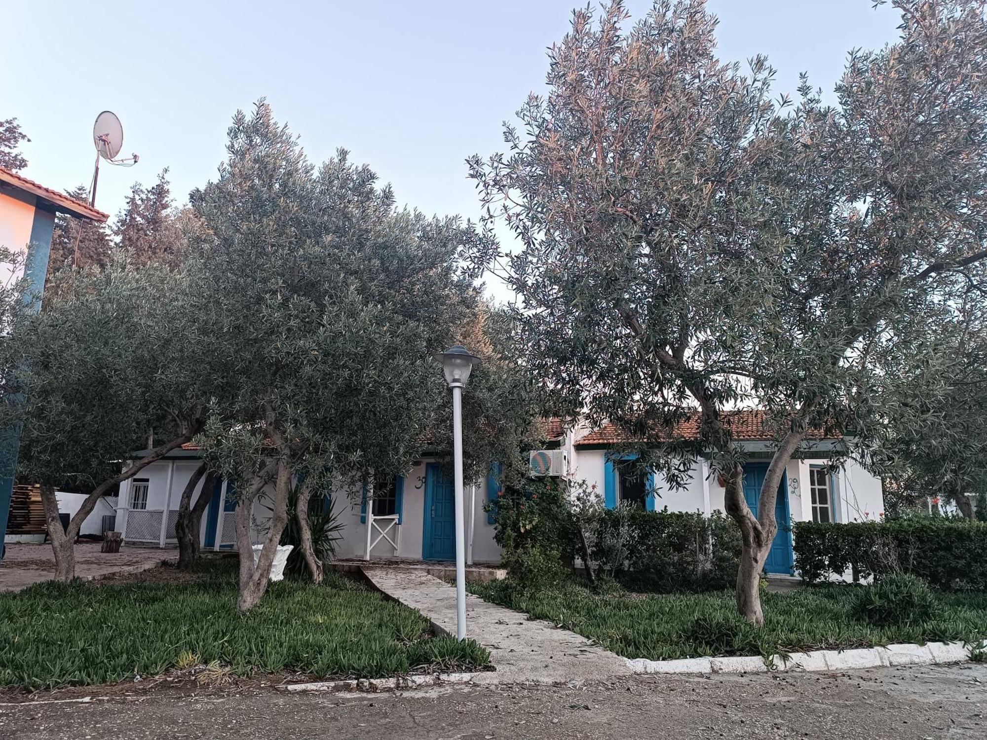 Teos Ormanci Tatil Koyu Hotel Seferihisar Exterior photo