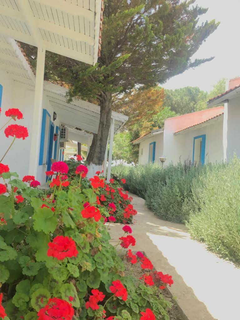 Teos Ormanci Tatil Koyu Hotel Seferihisar Exterior photo